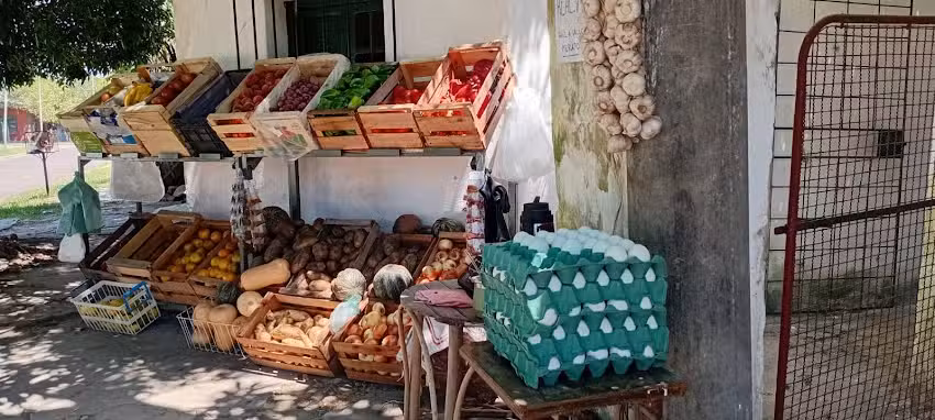 Verduleria y Fruter&iacute;a &ldquo;Los Vallejos&rdquo;
