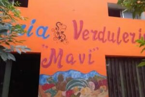 Verduler&iacute;a y Fruter&iacute;a Mavi
