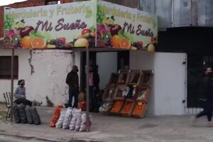 verduleria y fruteria mi sueño