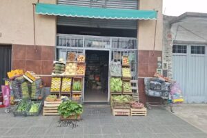 Verduler&iacute;a y Fruter&iacute;a Nancy