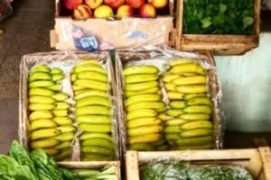 Verduleria y fruteria PANTERA