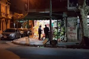 Verduler&iacute;a y Fruter&iacute;a Pau & Daniela