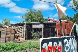 Verduler&iacute;a y Fruter&iacute;a (Por Mayor y Menor)