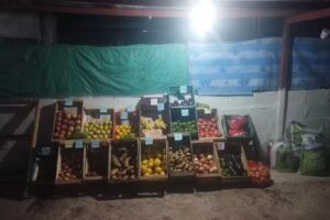 Verduler&iacute;a y kiosco la familia