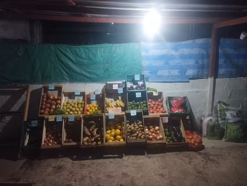 Verduler&iacute;a y kiosco la familia