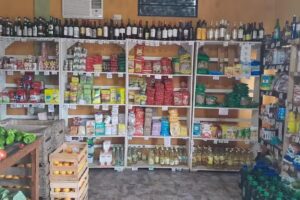 Verdulería y Pollería Avenida