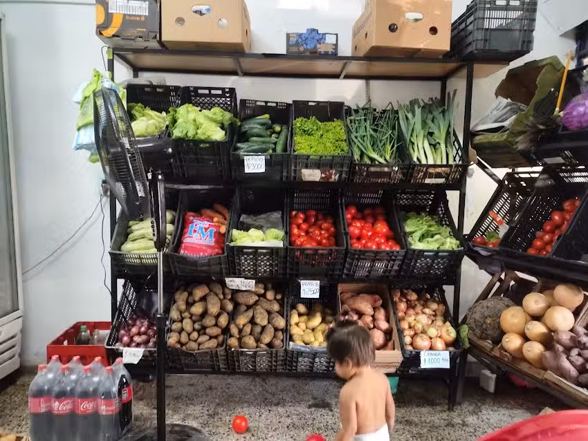 VERDULERIA Y POLLERIA CARLITOS