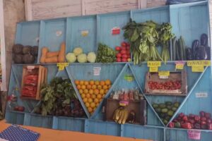 Verduler&iacute;a y Poller&iacute;a Cintya