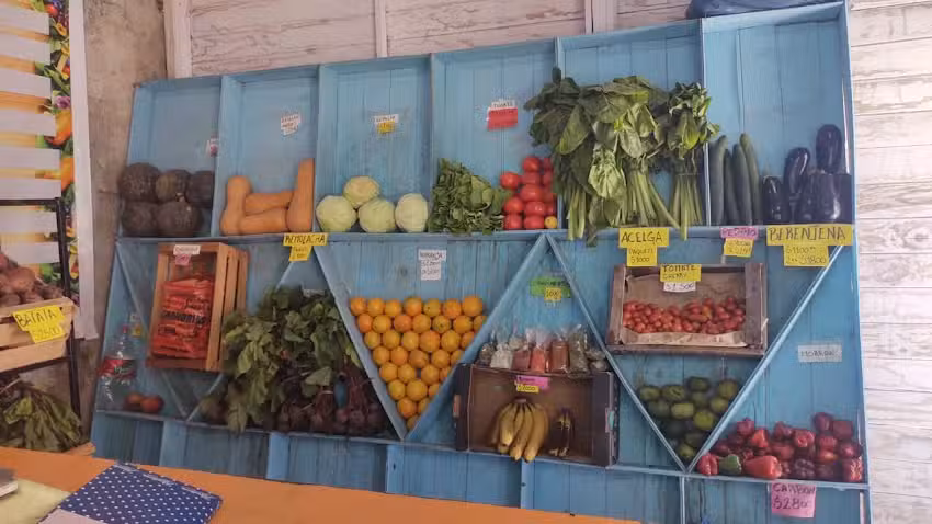 Verduler&iacute;a y Poller&iacute;a Cintya