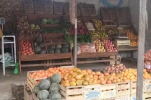 Verduler&iacute;a y Rotiser&iacute;a &ldquo;TINGA&rdquo;