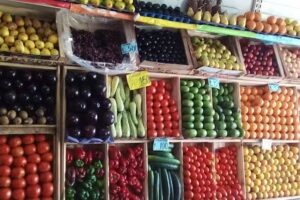 Verduler&iacute;a Yazmin II