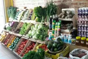 Verduler&iacute;a Zelarray&aacute;n