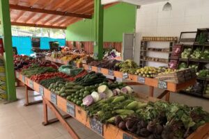 Verduler&iacute;as MELO