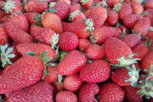 Verduras Y Frutas Noelia