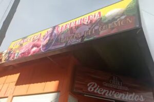 Virgen del Carmen • Carnicería y Verdulería