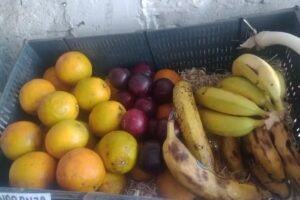 Zeus verdulería y frutería