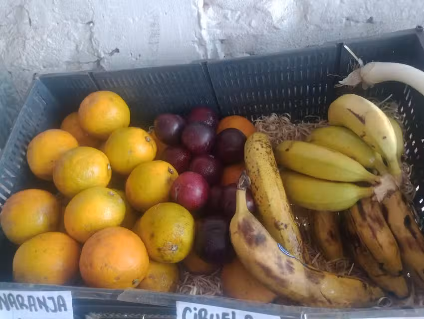 Zeus verduler&iacute;a y fruter&iacute;a