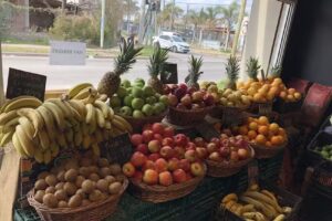 Zona Natural Verdulería